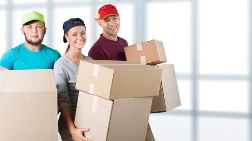 Organized belongings placed in a practical storage solution